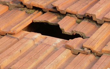roof repair Musbury, Devon